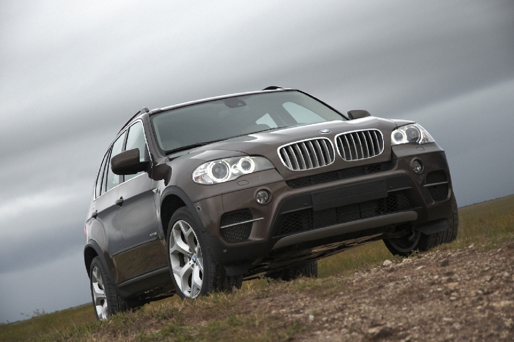 BMW X5 2010 (sursa - BMW)